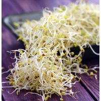 Kitchen Garden Alfalfa Sprouting Seeds